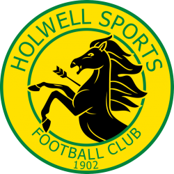 Holwell Sports FC Junior Football Academy badge